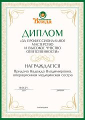 diplom019