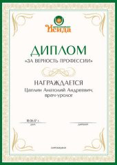 diplom025