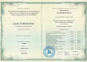 kalashnikov-doc05